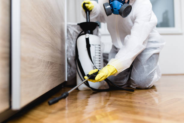 Best Best Pest Control Companies  in Old Jamestown, MO