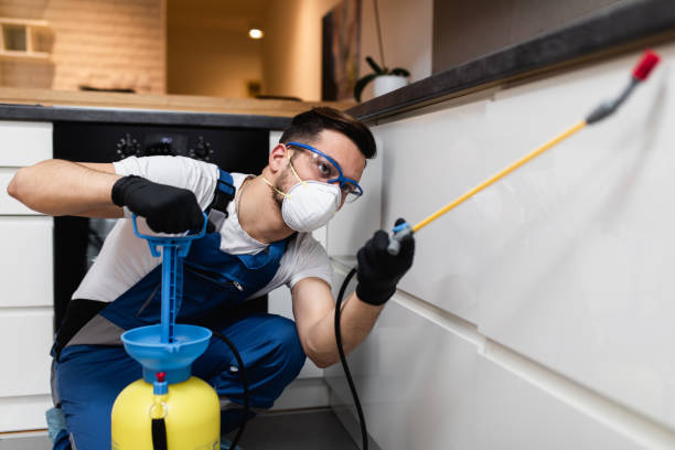 Best Mosquito Control Services  in Old Jamestown, MO