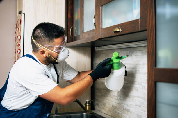 Best Best Pest Control Companies  in Old Jamestown, MO