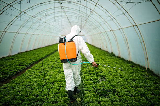 Professional Pest Control in Old Jamestown, MO