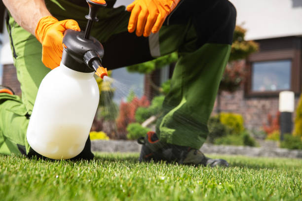 Best Exterminator Services  in Old Jamestown, MO