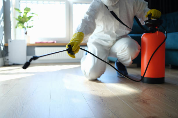 Best Pest Inspection Near Me  in Old Jamestown, MO