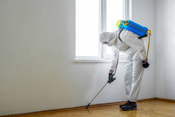 Best Wildlife Control Services  in Old Jamestown, MO