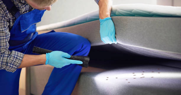 Best Affordable Pest Control Services  in Old Jamestown, MO